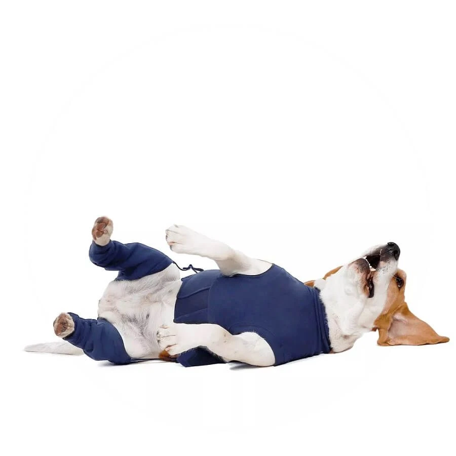 Medical Pet Shirt Manche De Protection Double Arrière XXS 4 Medical Pet Shirt Manche De Protection Double Arrière XXS – Image 2