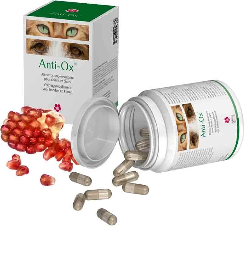 Miloa Anti-Ox 30 Gel 3 Miloa Anti-Ox 30 Gel