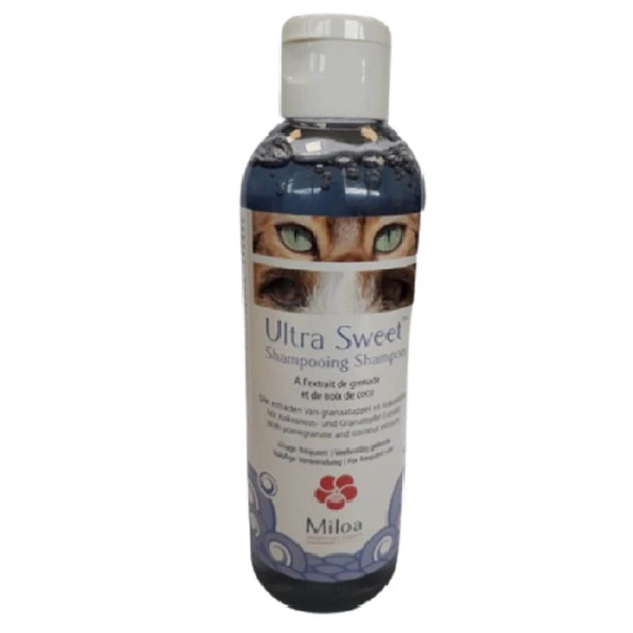 Miloa Shampooing Ultra Sweet Chat Et Chien 200 Ml 3 Miloa Shampooing Ultra Sweet Chat Et Chien 200 Ml
