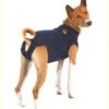 Medical Pet Shirt Chien L