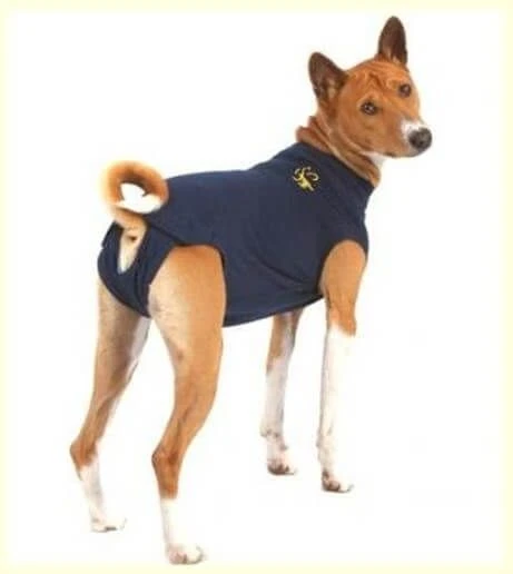 Medical Pet Shirt Chien L 3 Medical Pet Shirt Chien L