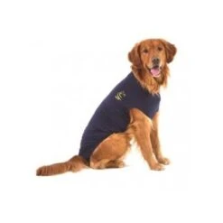 Medical Pet Shirt Chien L 6 Medical Pet Shirt Chien L -Animaux Fournitures Magasin mps dog l 3