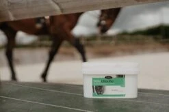 Horse Master MSM Ultra Pur Cheval 1 Kg 5 Horse Master MSM Ultra Pur Cheval 1 Kg -Animaux Fournitures Magasin msm