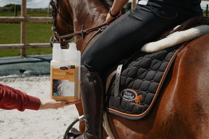 Horse Master Muscle Plus 1 L 4 Horse Master Muscle Plus 1 L – Image 2