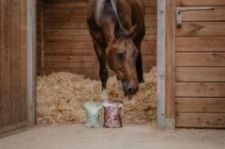 Horse Master Nutri Sweet Friandise 3 Saveurs 1 Kg 8 Horse Master Nutri Sweet Friandise 3 Saveurs 1 Kg -Animaux Fournitures Magasin natural sweet nutri sweet