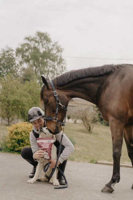 Horse Master Nutri Sweet Friandise 3 Saveurs 1 Kg 4 Horse Master Nutri Sweet Friandise 3 Saveurs 1 Kg – Image 2