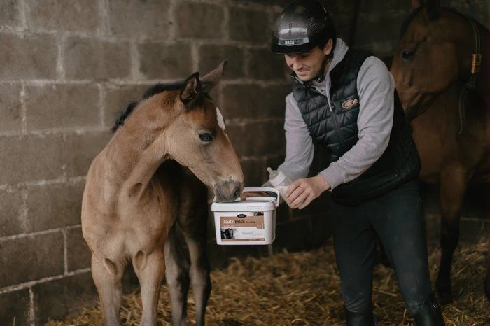 Horse Master Nutrimilk Breeding Lait En Poudre 2.5 Kg Poulain 5 Horse Master Nutrimilk Breeding Lait En Poudre 2.5 Kg Poulain – Image 3