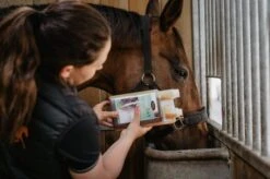 Horse Master Oméga 3.6.9 Cheval 5 L 6 Horse Master Oméga 3.6.9 Cheval 5 L -Animaux Fournitures Magasin omega 369