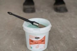 Horse Master Onguent Vert Nutrition Laurier Cheval 1 L 7 Horse Master Onguent Vert Nutrition Laurier Cheval 1 L -Animaux Fournitures Magasin onguent vert 1