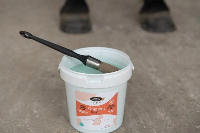 Horse Master Onguent Vert Nutrition Laurier Cheval 1 L 5 Horse Master Onguent Vert Nutrition Laurier Cheval 1 L – Image 3