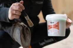 Horse Master Onguent Vert Nutrition Laurier Cheval 1 L