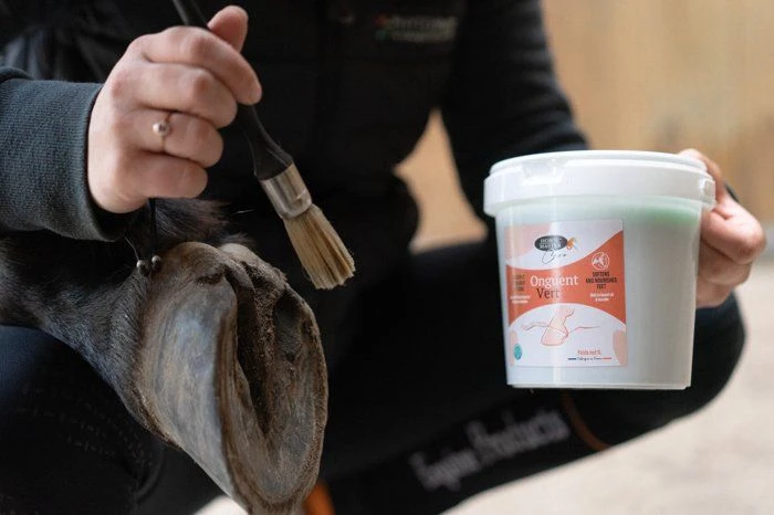 Horse Master Onguent Vert Nutrition Laurier Cheval 1 L 3 Horse Master Onguent Vert Nutrition Laurier Cheval 1 L