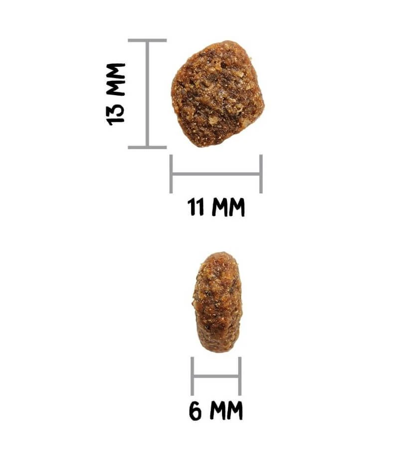 Ownat Author Fresh Grain Free Coq Chien 3 Kg 5 Ownat Author Fresh Grain Free Coq Chien 3 Kg – Image 3