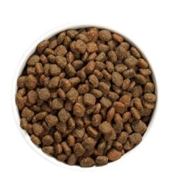 Ownat Author Fresh Grain Free Coq Chien 3 Kg 9 Ownat Author Fresh Grain Free Coq Chien 3 Kg -Animaux Fournitures Magasin ownat author fresh coq chien 3 kg 3