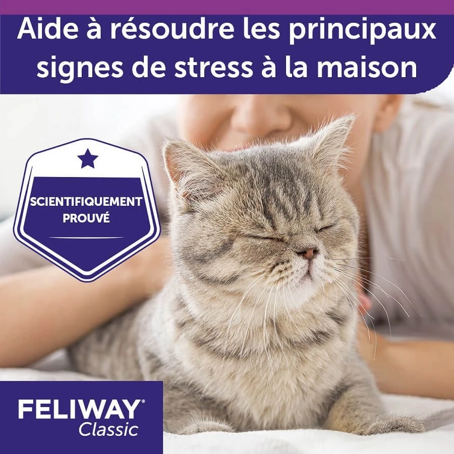 Pack Feliway Classic Recharge 3 X 48 Ml 7 Pack Feliway Classic Recharge 3 X 48 Ml – Image 5