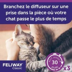 Pack Feliway Classic Recharge 3 X 48 Ml 17 Pack Feliway Classic Recharge 3 X 48 Ml -Animaux Fournitures Magasin pack feliway classic recharge 3 x 48 ml 7
