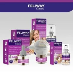 Pack Feliway Classic Recharge 3 X 48 Ml 19 Pack Feliway Classic Recharge 3 X 48 Ml -Animaux Fournitures Magasin pack feliway classic recharge 3 x 48 ml 9