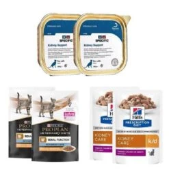 Pack Chat Insuffisant Renal Multi Saveurs Et Textures