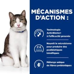 Hill's Prescription Diet Feline Gastrointestinal Biome Stress 8 Kg 11 Hill's Prescription Diet Feline Gastrointestinal Biome Stress 8 Kg -Animaux Fournitures Magasin pd gastrointestinal biome stress feline 2