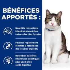 Hill's Prescription Diet Feline Gastrointestinal Biome Stress 8 Kg 10 Hill's Prescription Diet Feline Gastrointestinal Biome Stress 8 Kg -Animaux Fournitures Magasin pd gastrointestinal biome stress feline dry ingredient 500.png.rendition.1199.1199 2