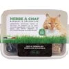 Pet Design Herbe à Chat Bio En Barquette 300 G 2 Pet Design Herbe à Chat Bio En Barquette 300 G -Animaux Fournitures Magasin pet design herbe a chat bio en barquette 300 g