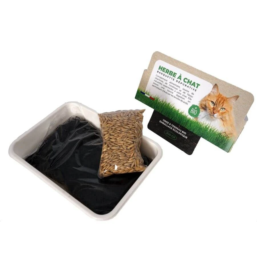Pet Design Herbe à Chat Bio En Barquette 300 G 4 Pet Design Herbe à Chat Bio En Barquette 300 G – Image 2