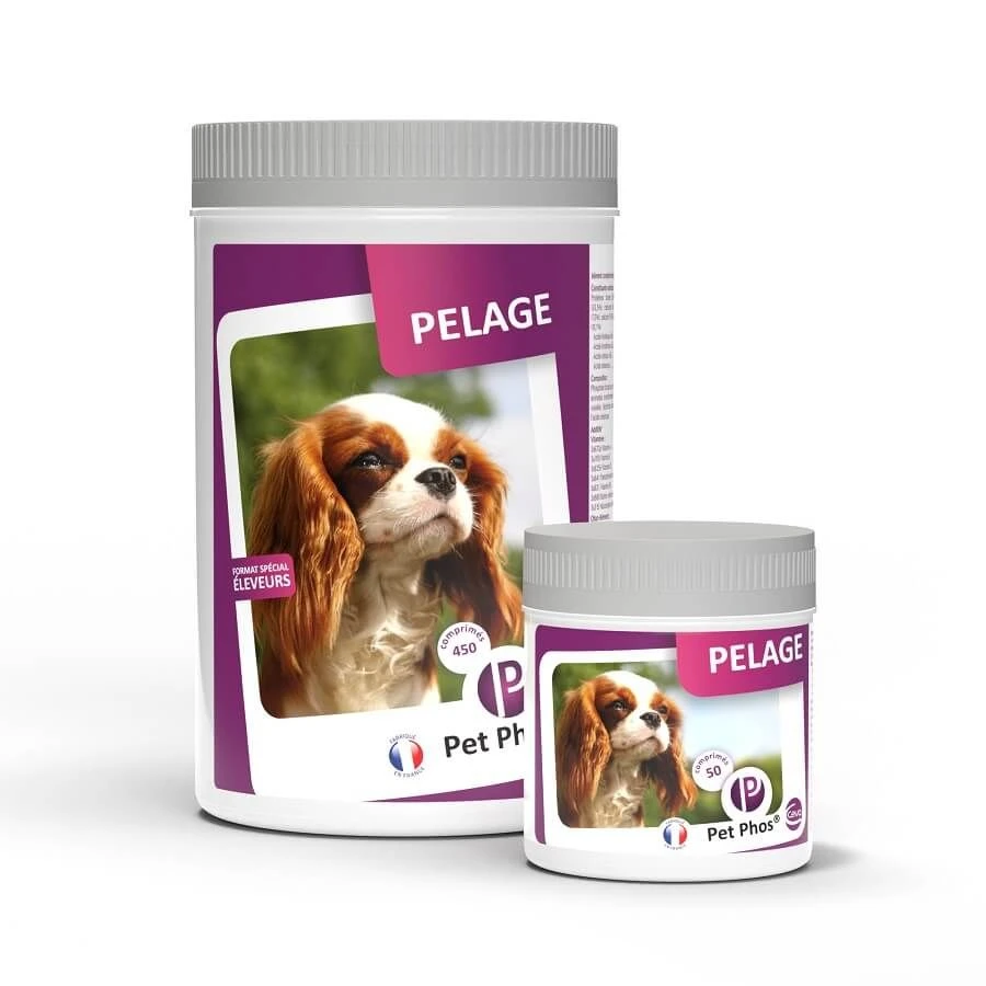Pet Phos Pelage Chien 450 Cp 4 Pet Phos Pelage Chien 450 Cp – Image 2