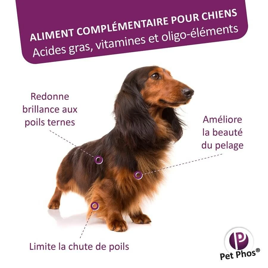 Pet Phos Pelage Chien 450 Cp 5 Pet Phos Pelage Chien 450 Cp – Image 3