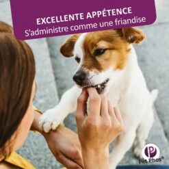Pet Phos Pelage Chien 450 Cp 16 Pet Phos Pelage Chien 450 Cp -Animaux Fournitures Magasin pet phos pelage chien 450 cp 9