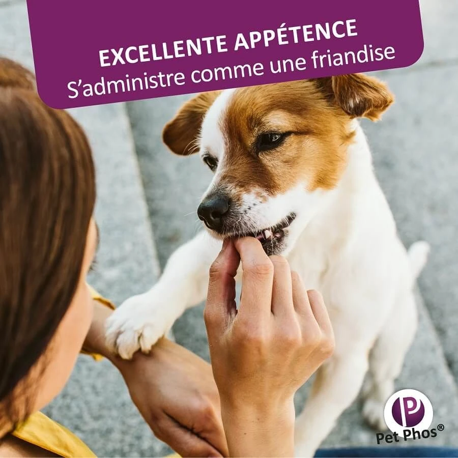 Pet Phos Pelage Chien 450 Cp 9 Pet Phos Pelage Chien 450 Cp – Image 7