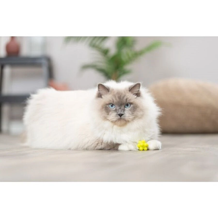 Trixie Set De 4 Balles Avec Bosses Pour Chat 4 Trixie Set De 4 Balles Avec Bosses Pour Chat – Image 2