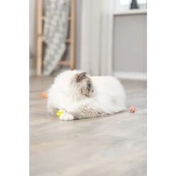 Trixie Set De 4 Balles Avec Bosses Pour Chat 7 Trixie Set De 4 Balles Avec Bosses Pour Chat -Animaux Fournitures Magasin pho pro cat 4534 3 sall awk v1