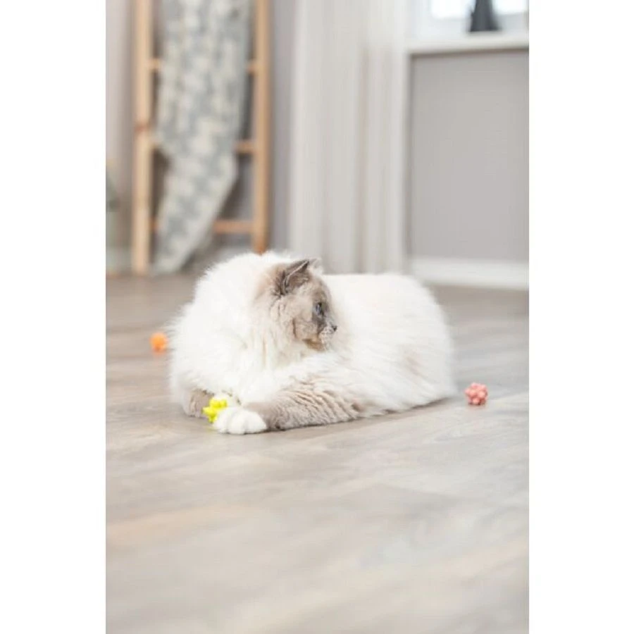 Trixie Set De 4 Balles Avec Bosses Pour Chat 5 Trixie Set De 4 Balles Avec Bosses Pour Chat – Image 3