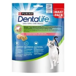 Purina DentaLife Saumon Chat 140 G