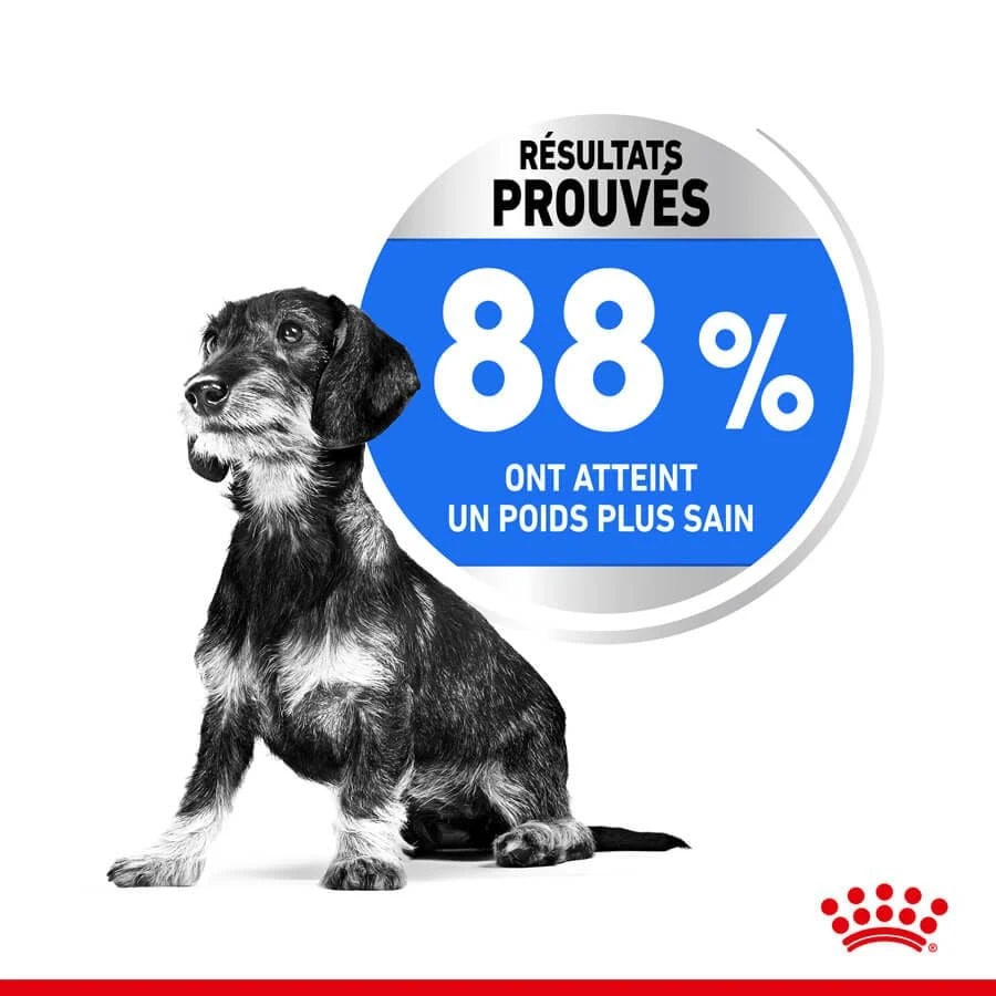 Royal Canin Canine Care Nutrition Mini Light Weight Care 1 Kg 6 Royal Canin Canine Care Nutrition Mini Light Weight Care 1 Kg – Image 4