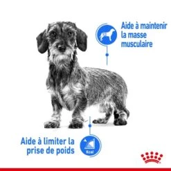 Royal Canin Canine Care Nutrition Mini Light Weight Care 1 Kg 12 Royal Canin Canine Care Nutrition Mini Light Weight Care 1 Kg -Animaux Fournitures Magasin royal canin canine care nutrition mini light weight care5