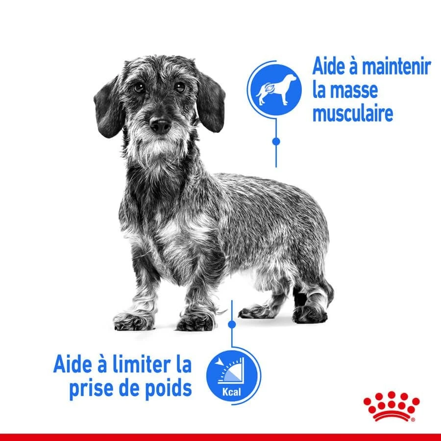 Royal Canin Canine Care Nutrition Mini Light Weight Care 1 Kg 5 Royal Canin Canine Care Nutrition Mini Light Weight Care 1 Kg – Image 3