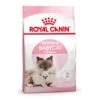Royal Canin Feline Health Nutrition Mother & Babycat 2 Kg 1 Royal Canin Feline Health Nutrition Mother & Babycat 2 Kg -Animaux Fournitures Magasin royal canin feline health nutrition mother babycat 2 kg