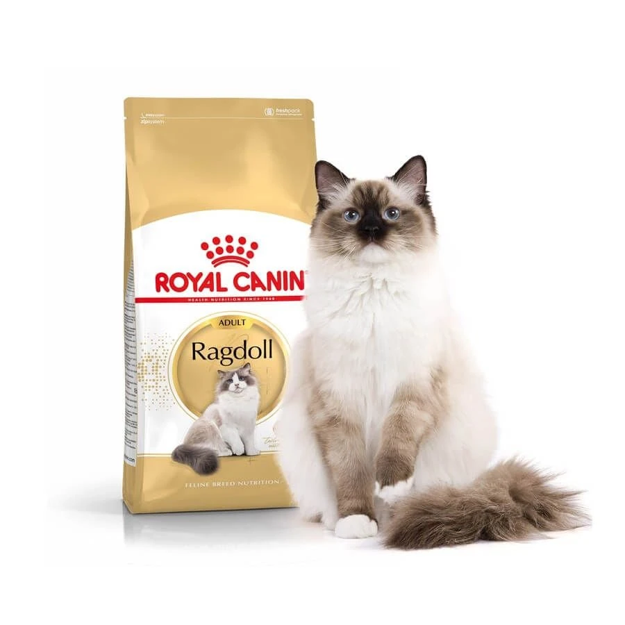 Royal Canin Chat Adult Ragdoll 2 Kg 4 Royal Canin Chat Adult Ragdoll 2 Kg – Image 2