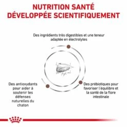 Royal Canin Vet Chat Gastrointestinal Kitten 2 Kg -Animaux Fournitures Magasin royal canin vet chat gastrointestinal kitten 2 kg 4