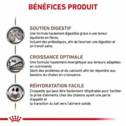Royal Canin Vet Chat Gastrointestinal Kitten 2 Kg -Animaux Fournitures Magasin royal canin vet chat gastrointestinal kitten 2 kg 5
