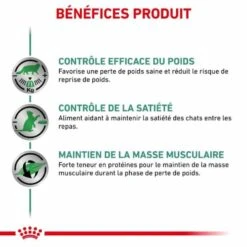 Royal Canin Vet Chat Satiety Weight Management 12 X 85 G 9 Royal Canin Vet Chat Satiety Weight Management 12 X 85 G -Animaux Fournitures Magasin royal canin vet chat satiety weight management 12 x 85 g