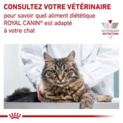 Royal Canin Vet Chat Satiety Weight Management 12 X 85 G 13 Royal Canin Vet Chat Satiety Weight Management 12 X 85 G -Animaux Fournitures Magasin royal canin vet chat satiety weight management 12 x 85 g 5