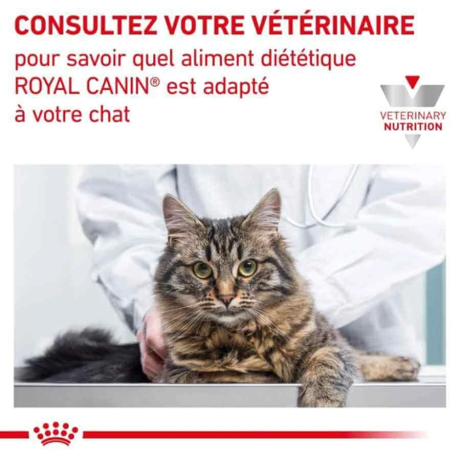 Royal Canin Vet Chat Satiety Weight Management 12 X 85 G 8 Royal Canin Vet Chat Satiety Weight Management 12 X 85 G – Image 6