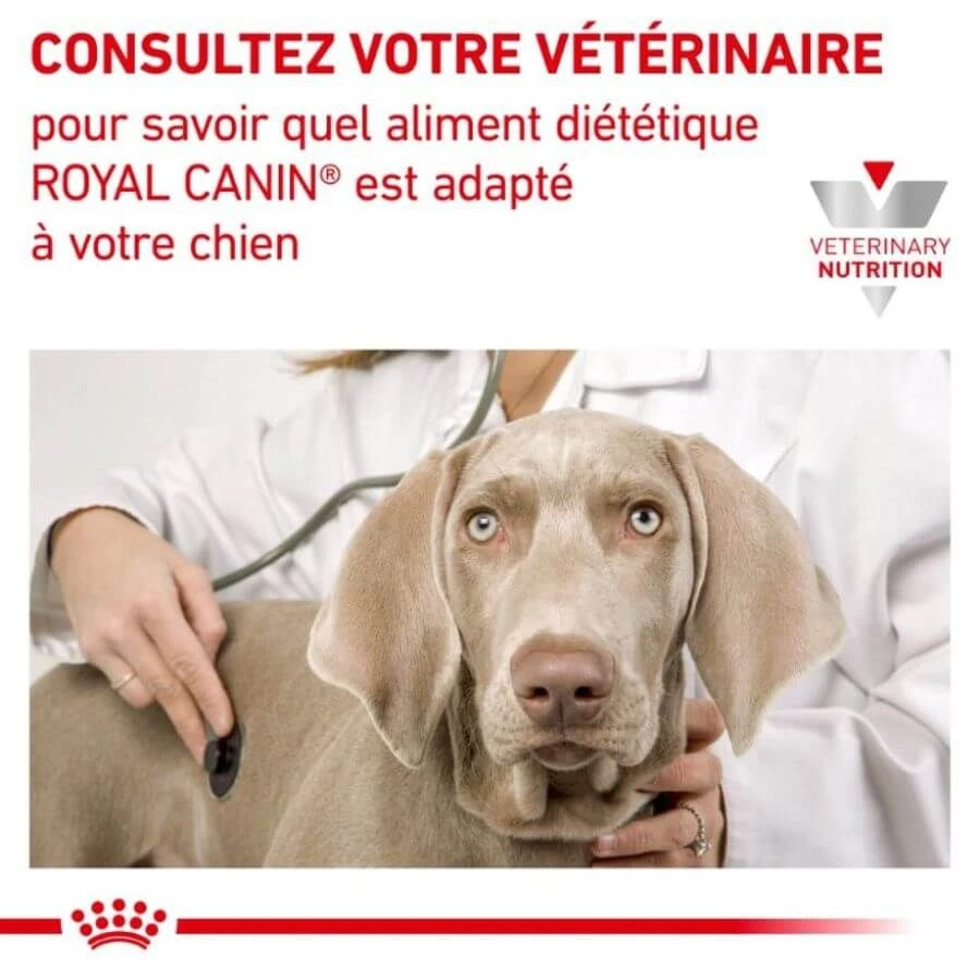 Royal Canin Vet Chien Renal Select 10 Kg 5 Royal Canin Vet Chien Renal Select 10 Kg – Image 3