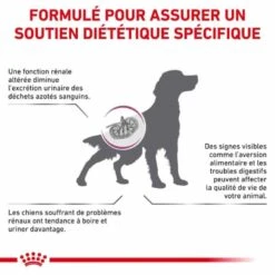 Royal Canin Vet Chien Renal Select 10 Kg 13 Royal Canin Vet Chien Renal Select 10 Kg -Animaux Fournitures Magasin royal canin vet chien renal select 10 kg 3