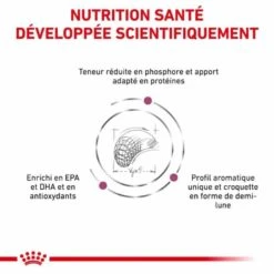 Royal Canin Vet Chien Renal Select 10 Kg 14 Royal Canin Vet Chien Renal Select 10 Kg -Animaux Fournitures Magasin royal canin vet chien renal select 10 kg 4