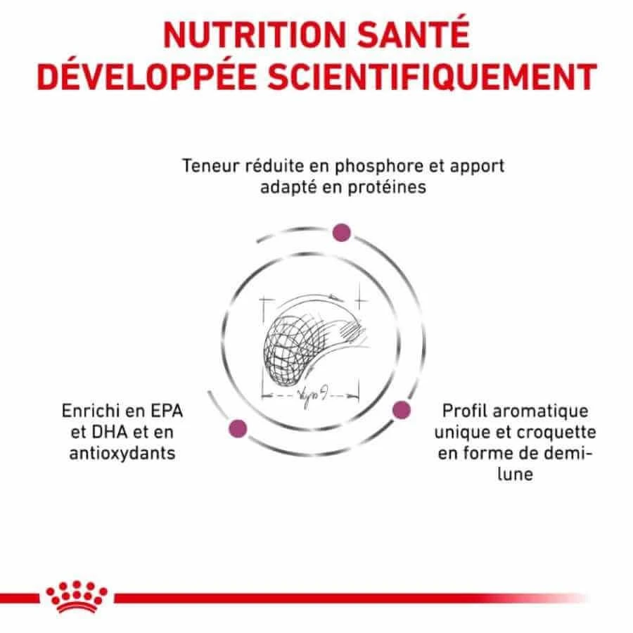 Royal Canin Vet Chien Renal Select 10 Kg 7 Royal Canin Vet Chien Renal Select 10 Kg – Image 5