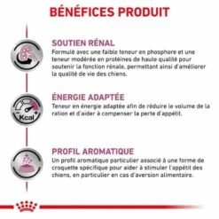 Royal Canin Vet Chien Renal Select 10 Kg 15 Royal Canin Vet Chien Renal Select 10 Kg -Animaux Fournitures Magasin royal canin vet chien renal select 10 kg 5
