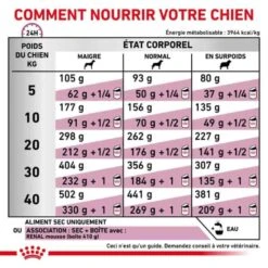 Royal Canin Vet Chien Renal Select 10 Kg 16 Royal Canin Vet Chien Renal Select 10 Kg -Animaux Fournitures Magasin royal canin vet chien renal select 10 kg 6